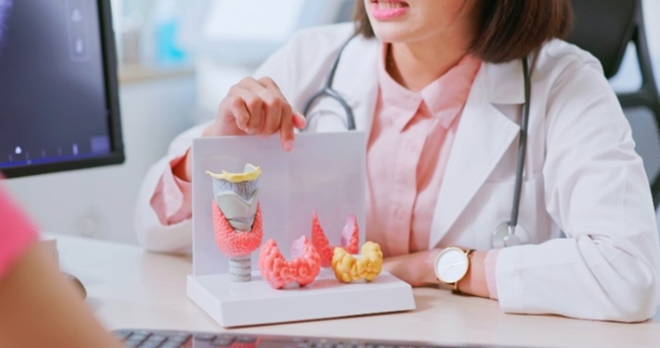Endocrinologist explaining thyroid anatomy to a patient using a gland model in San Diego, CA